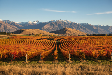 Waddesdon Wine Club: Akarua