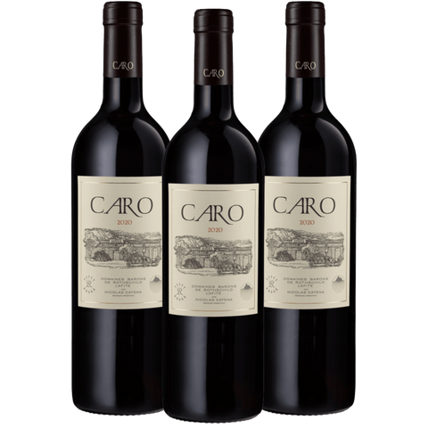 Bodegas Caro 2020, Mendoza, Argentina