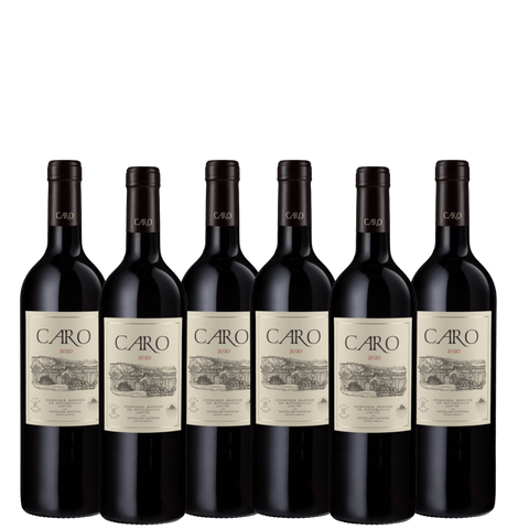 Bodegas Caro 2020, Mendoza, Argentina
