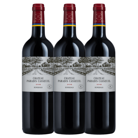 Château Paradis Casseuil 2019, A.C. Bordeaux, France