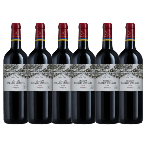 Château Paradis Casseuil 2019, A.C. Bordeaux, France