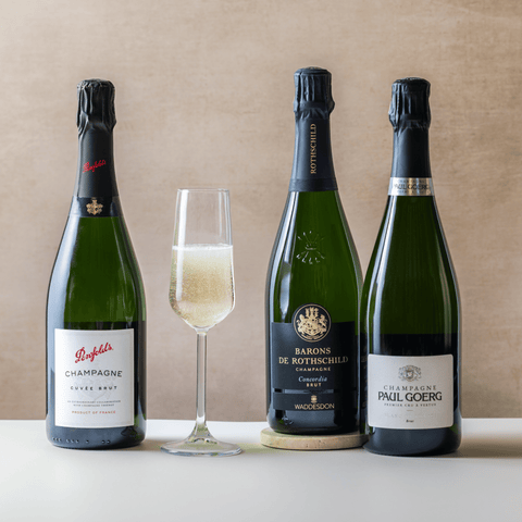 The Champagne Lovers Trilogy Case