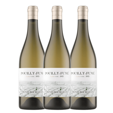 Henri Bourgeois Pouilly Fume 2023, A.C. Pouilly Fume, France