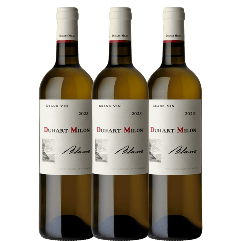 Château Duhart-Milon Blanc 2023, A.C. Bordeaux, France