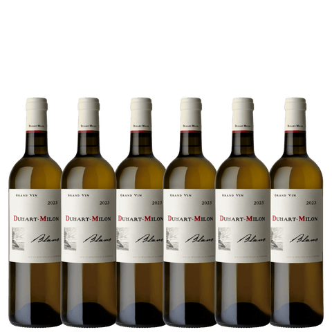 Château Duhart-Milon Blanc 2023, A.C. Bordeaux, France