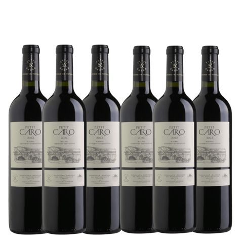 Bodegas Caro Le Petit Caro 2022, Mendoza, Argentina