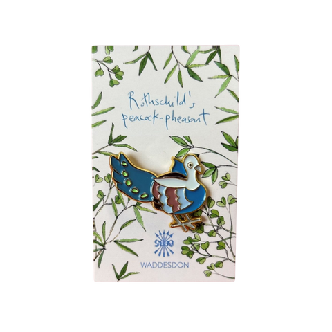 Rothschild’s peacock-pheasant enamel pin badge