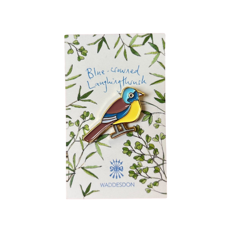 Blue-crowned laughingthrush enamel pin badge