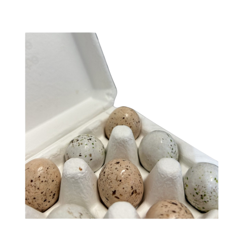 Waddesdon Aviary (chocolate) eggs