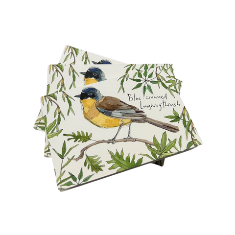 The Birds of Waddesdon notecard set