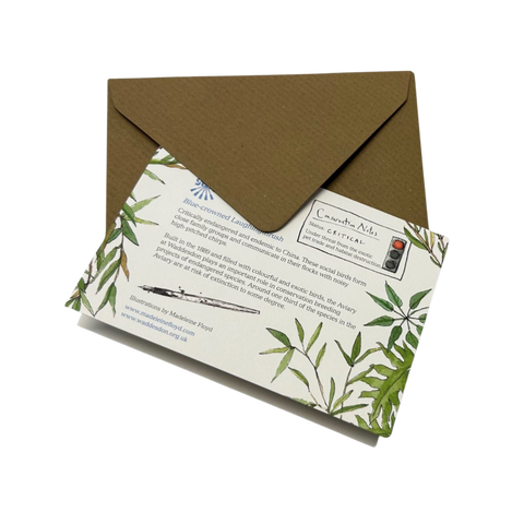 The Birds of Waddesdon notecard set