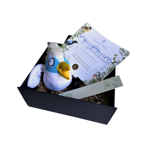 Sponsor a Rothschild Mynah Bird – gift box