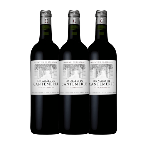 Les Allees de Cantemerle 2020, A.C. Haut-Medoc, France