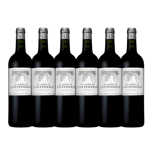 Les Allees de Cantemerle 2020, A.C. Haut-Medoc, France
