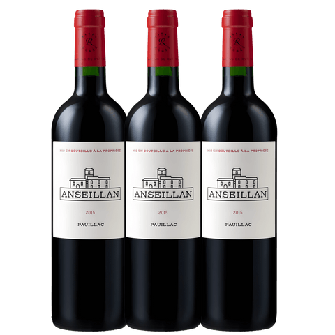 Anseillan 2015 Magnum, A.C. Pauillac, France