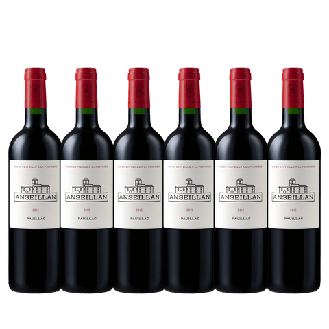 Anseillan 2015 Magnum, A.C. Pauillac, France