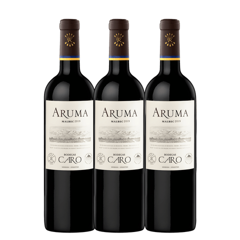 Bodegas Caro Aruma Malbec 2023, Mendoza, Argentina