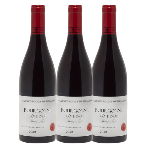 Maison Roche de Bellene Bourgogne Rouge Pinot Noir 2022, A.C. Bourgogne, France