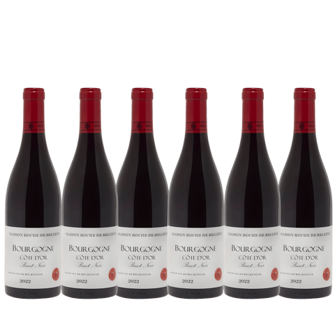Maison Roche de Bellene Bourgogne Rouge Pinot Noir 2022, A.C. Bourgogne, France