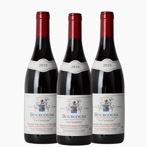 Domaine Machard de Gramont Bourgogne Chapitre 2019, A.C. Bourgogne, France