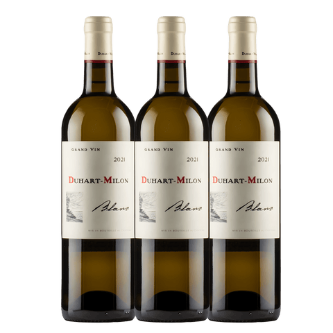 Château Duhart-Milon Blanc 2021, A.C. Bordeaux, France