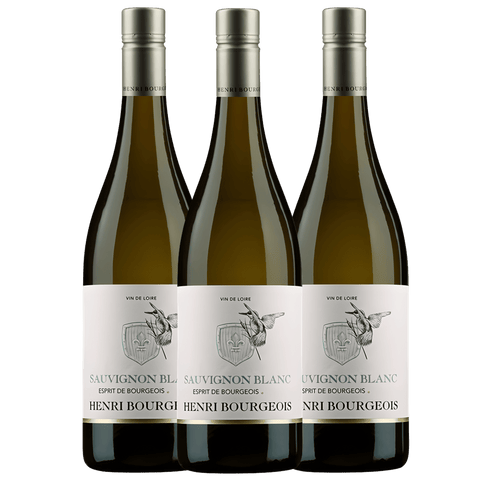 Henri Bourgeois Esprit de Bourgeois Sauvignon Blanc 2024, A.C. Loire Valley, France