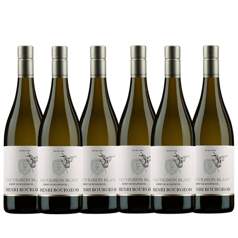 Henri Bourgeois Esprit de Bourgeois Sauvignon Blanc 2024, A.C. Loire Valley, France