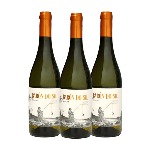 Baron do Sil Godello 2021, D.O. Valdeorras, Spain