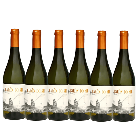 Baron do Sil Godello 2021, D.O. Valdeorras, Spain