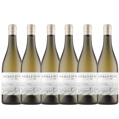 Henri Bourgeois Pouilly Fume 2023, A.C. Pouilly Fume, France