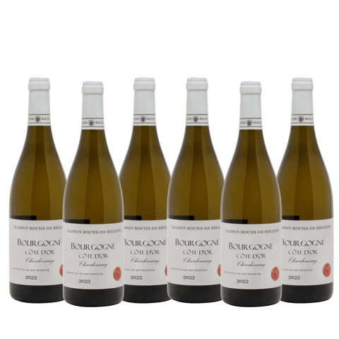 Maison Roche de Bellene Bourgogne Blanc Chardonnay 2022, A.C. Bourgogne, France