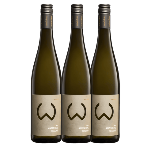 Weinhof Waldschütz Anzenthal Riesling 2022, Kamptal, Austria