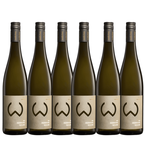 Weinhof Waldschütz Anzenthal Riesling 2022, Kamptal, Austria